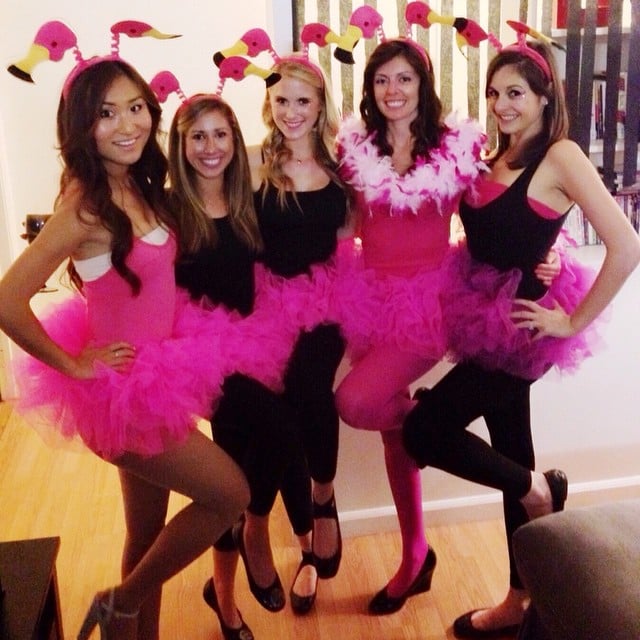 Flamingos Girl Group Halloween Costumes Popsugar Love