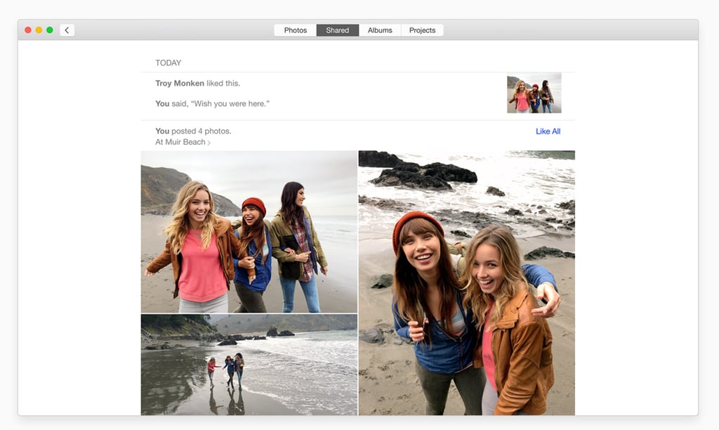 "Shared" View