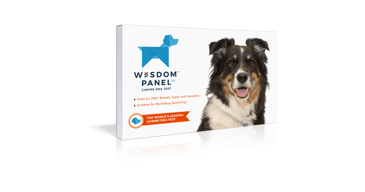 wisdom panel canine dna