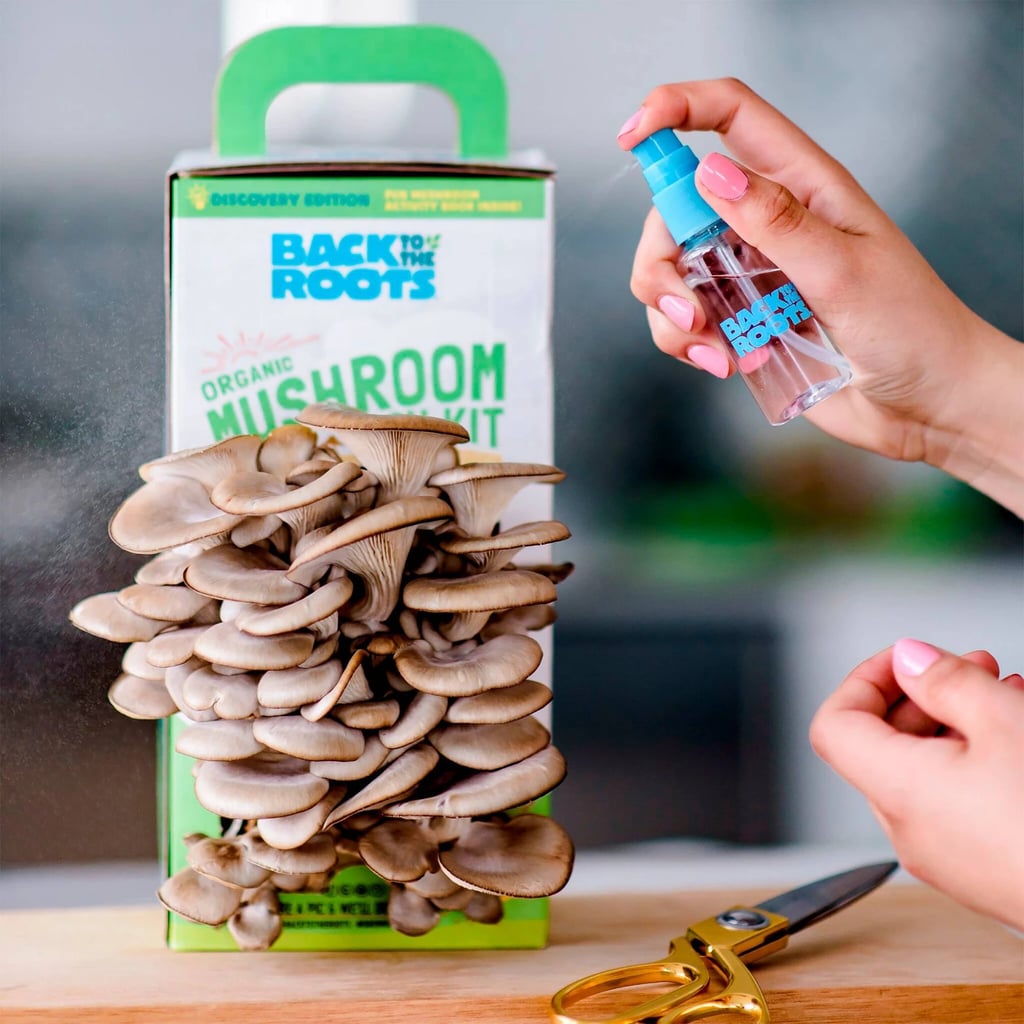 For Plant Parents: Back to the Roots Organic Mushroom Grow Kit