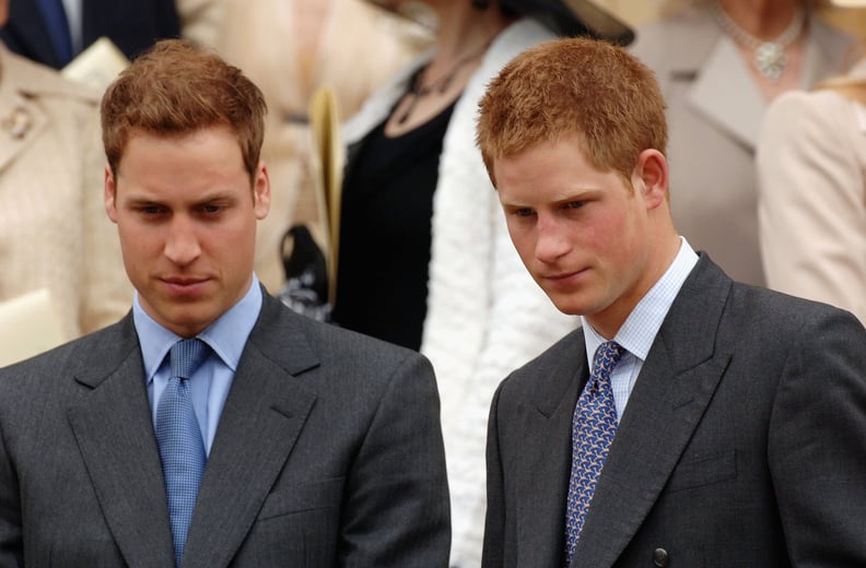 威廉王子和哈里王子