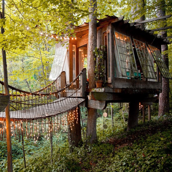 Coolest Tree Houses