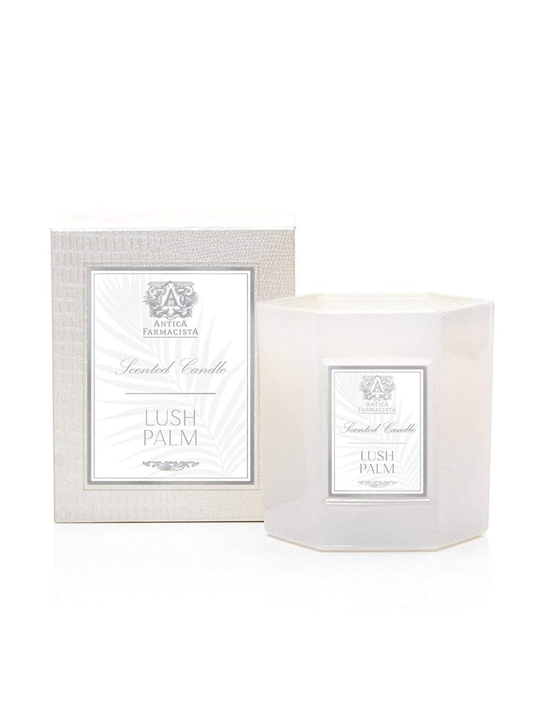 Antica Farmacista Scented Candles, Lush Palm, 9 oz.