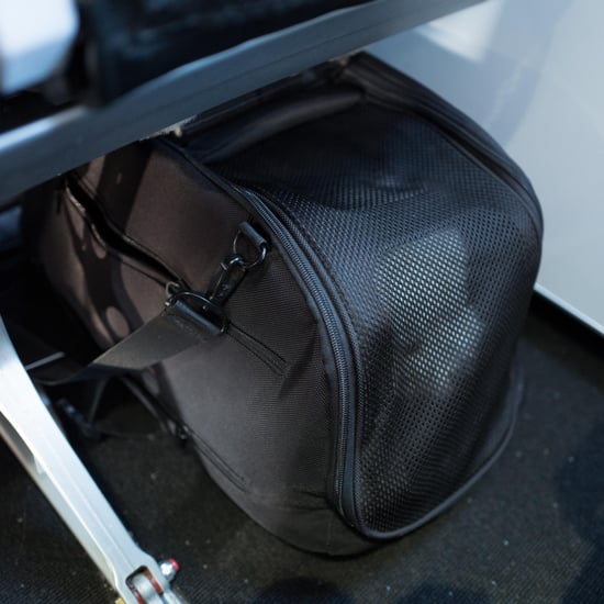 Dog Dies in Overhead Bin on United Airlines Flight