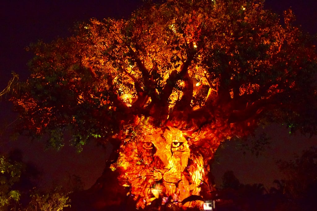 The Tree of Life Awakens