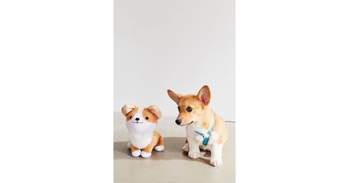 Corgi gifts near on sale me