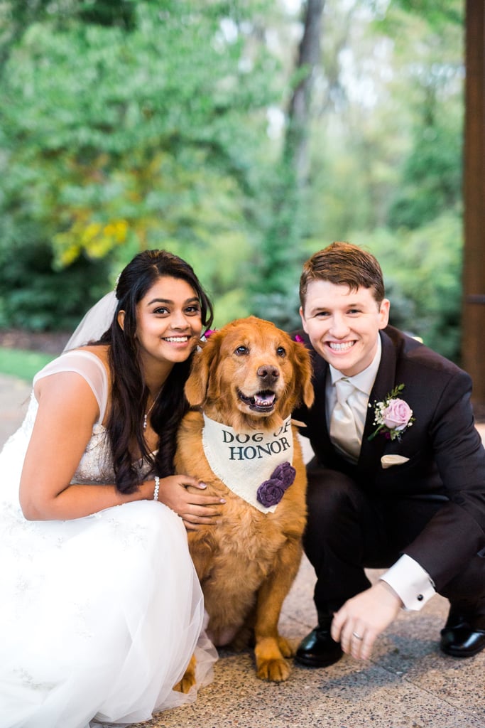 Dogs in Weddings