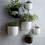 Copper Wall Planter 20 Hanging Planters That Will Take Your Indoor Plant Wall To The Next Level Popsugar Home Photo 21