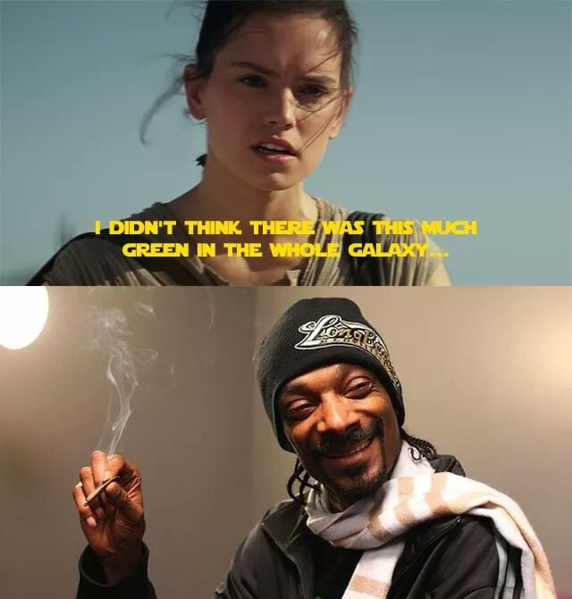 Somehow, Snoop Dogg has made it into the story.