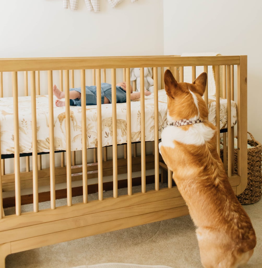 Best Crib