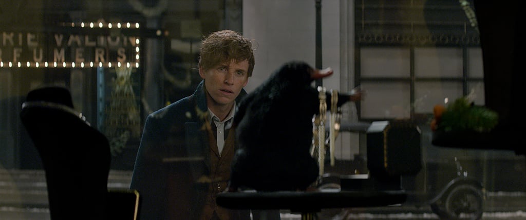 Fantastic Beasts and Where to Find Them Pictures