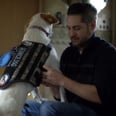 Service Dogs Save Veterans' Lives, So Why Aren't They Covered by the VA?
