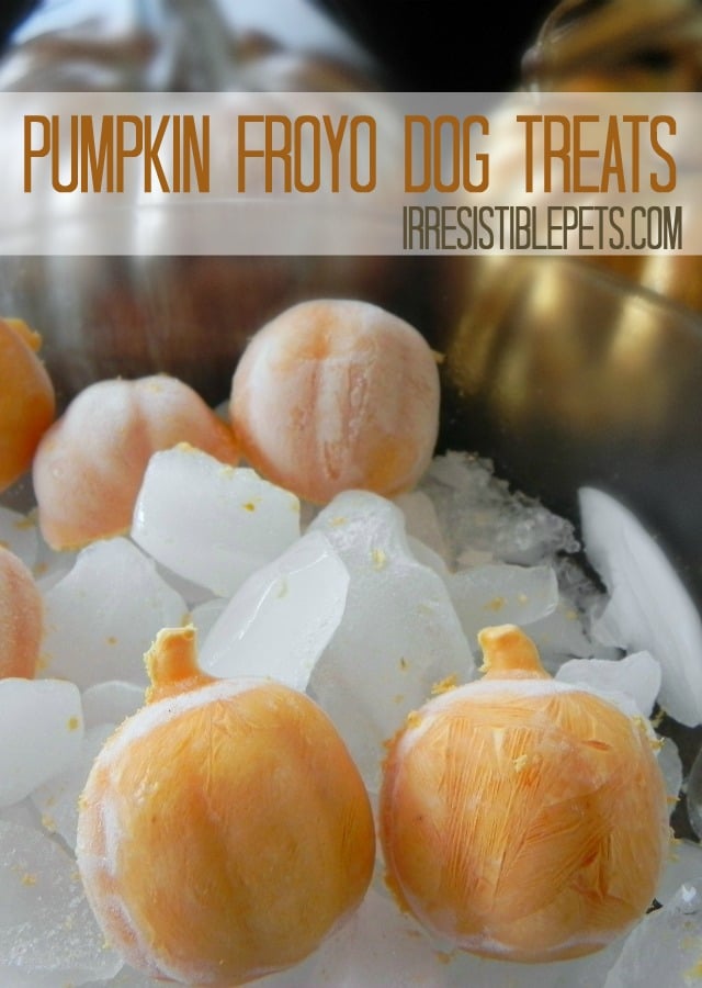 Pumpkin Fro-Yo Treats