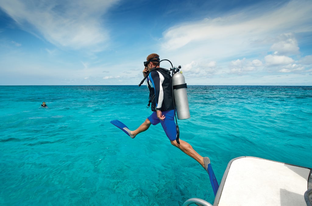 After You've Seen the Underwater World Up Close