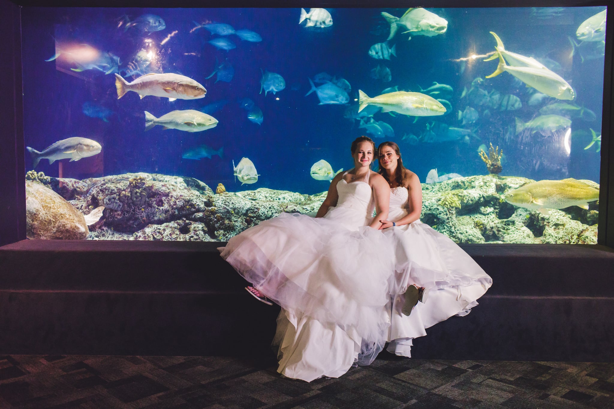 Love Sex These Brides Tied The Knot At An Aquarium And