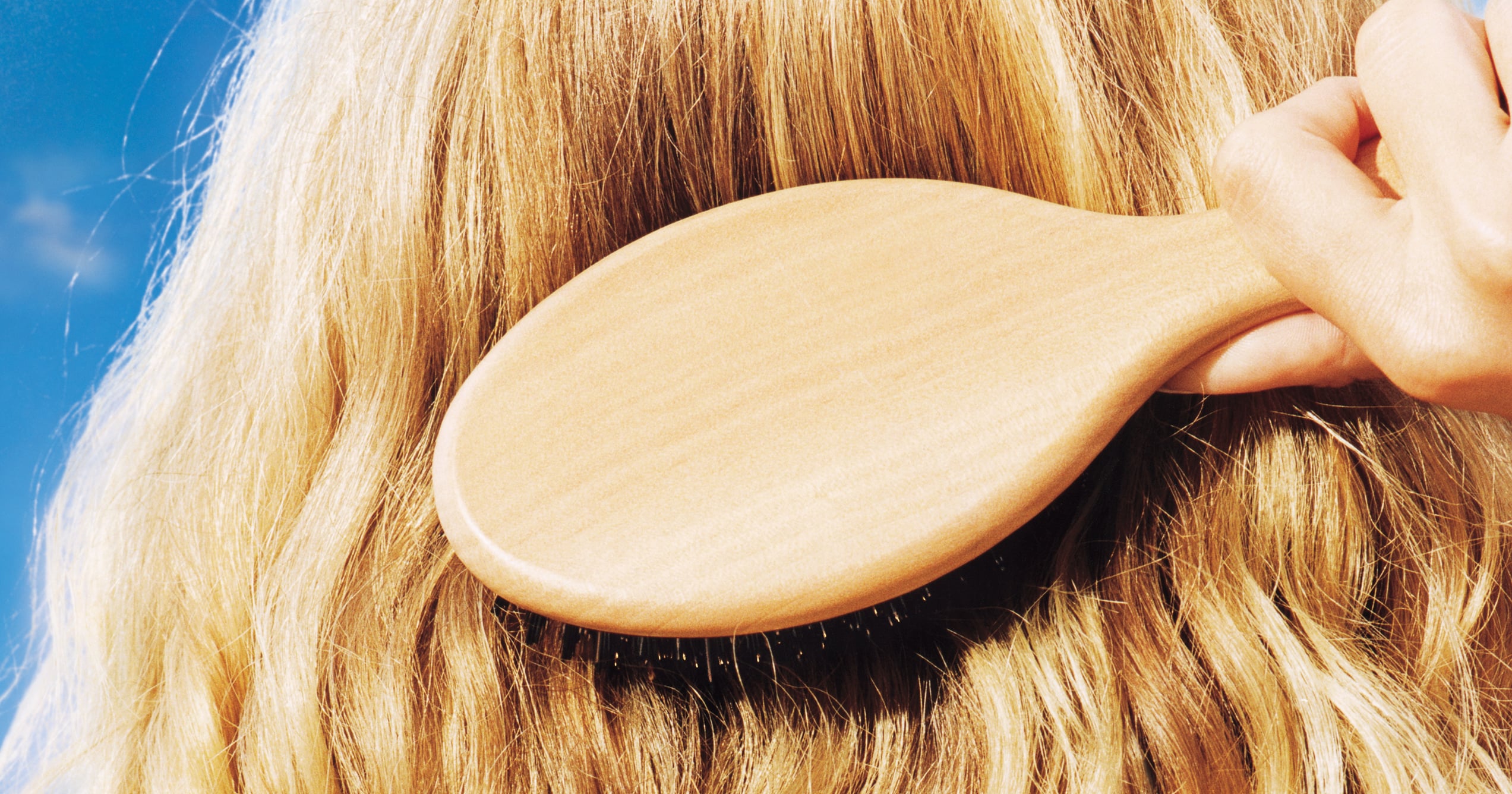 15 Hair Brushes For All Hair Types and Textures