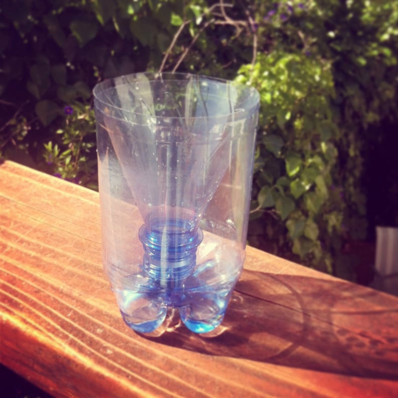 Upcycle a plastic bottle for a bug trap.