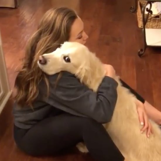 Video of Cute Golden Retriever Giving Hugs