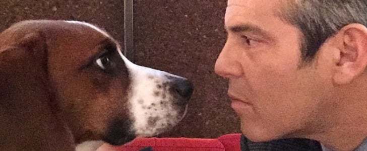 Andy Cohen and Dog Wacha Gifts