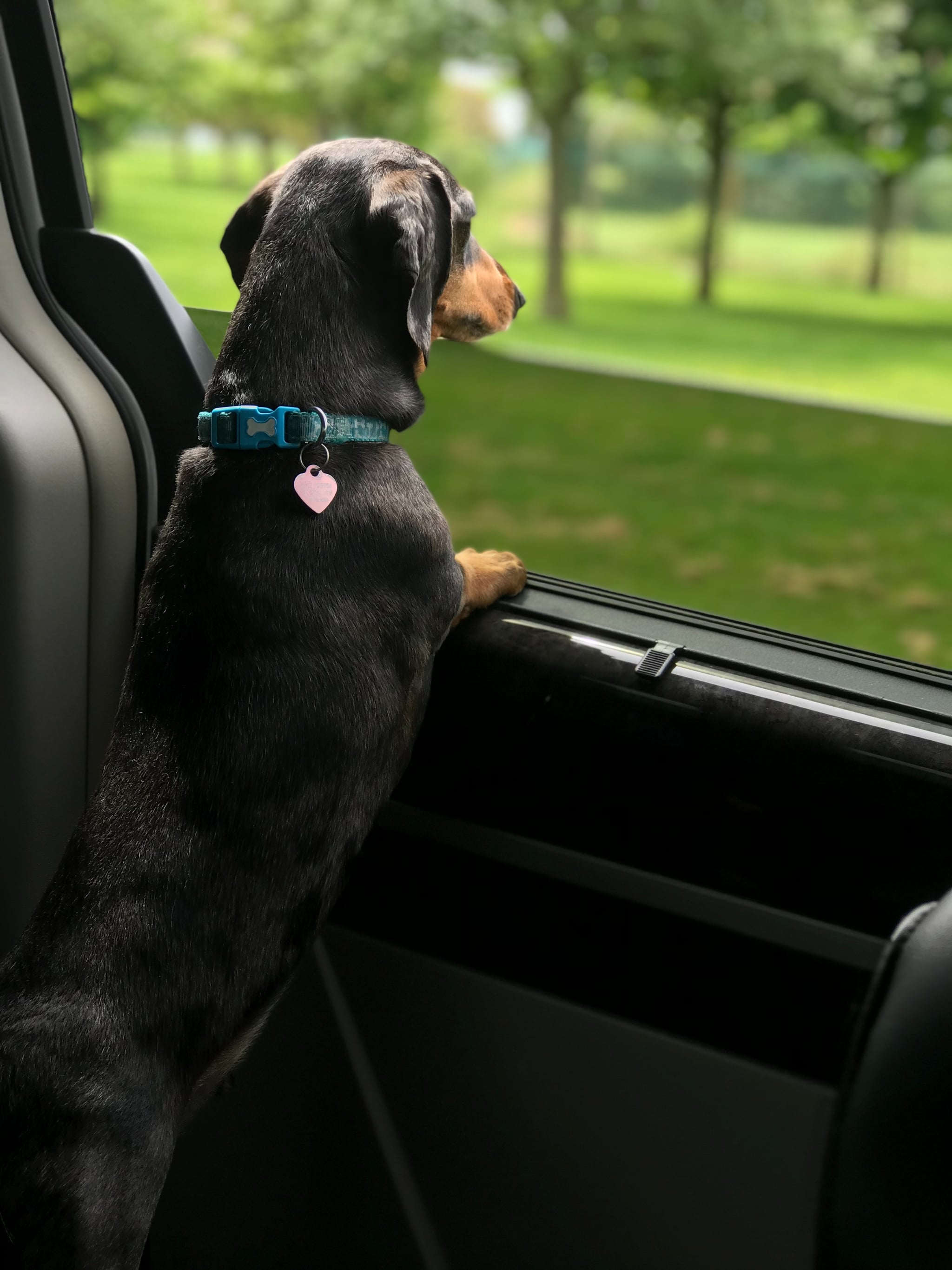 is it ok to leave a dog in a car with the windows cracked