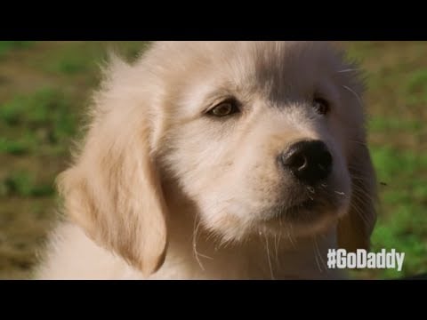 GoDaddy: "Journey Home"