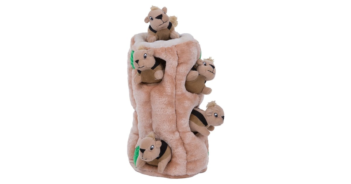 Hide and seek squirrel dog toy best sale