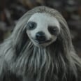 You Won't Regret Watching the Trailer For This Killer Sloth Horror Movie