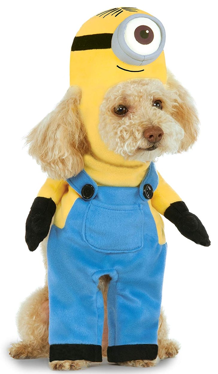 Minion Pet Costume Best Costumes For Dogs POPSUGAR UK Pets Photo 32