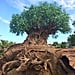 Best Ways to Keep Cool at Disney World