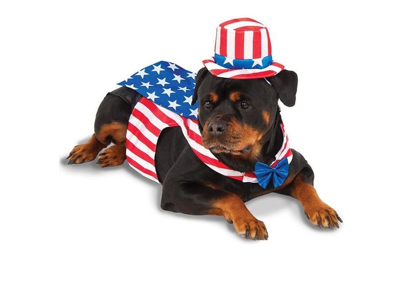 Rubies Uncle Sam Big Dog Pet Costume