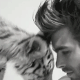 These Pictures of Hot Celebs With Cats Will Leave You Swooning For Days