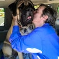 Man in Recovery Who Had to Give Up His Dog Has Emotional Moment With Therapy Dog