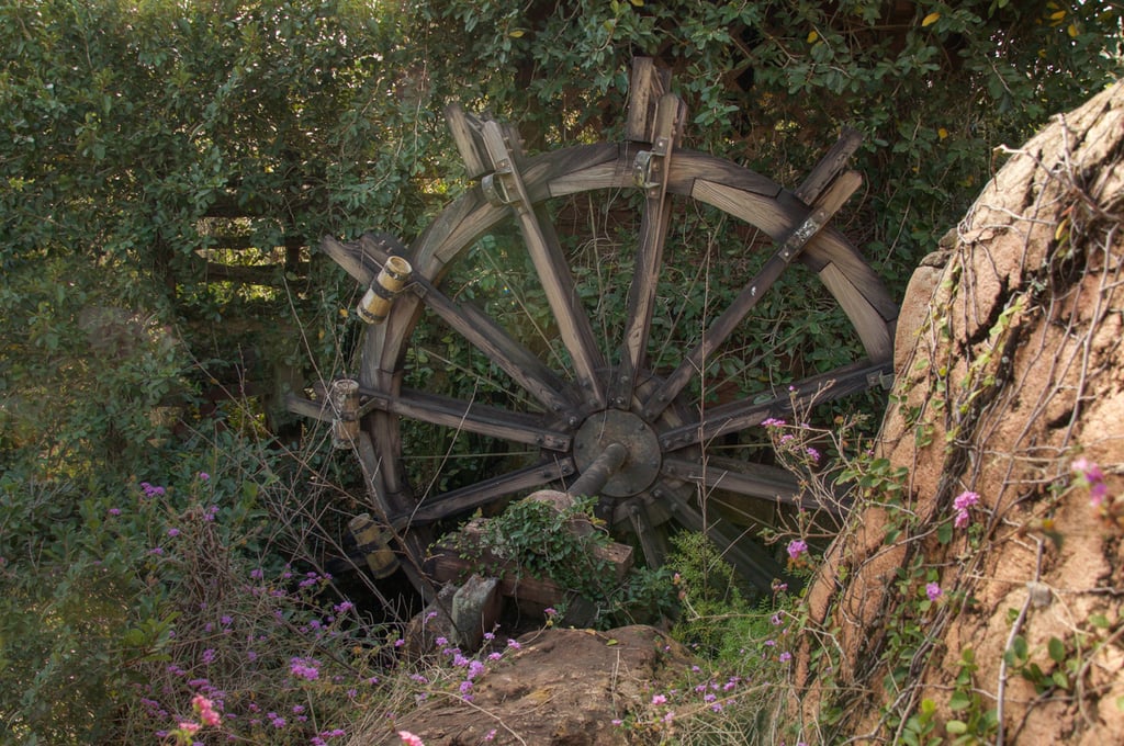 Abandoned Disney Park Photos