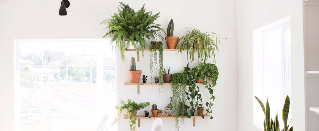 How to Create a Killer Garden Wall in Your Apartment