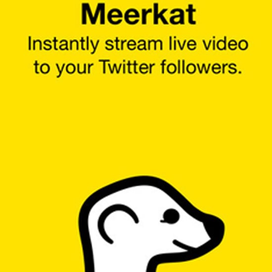 Meerkat App