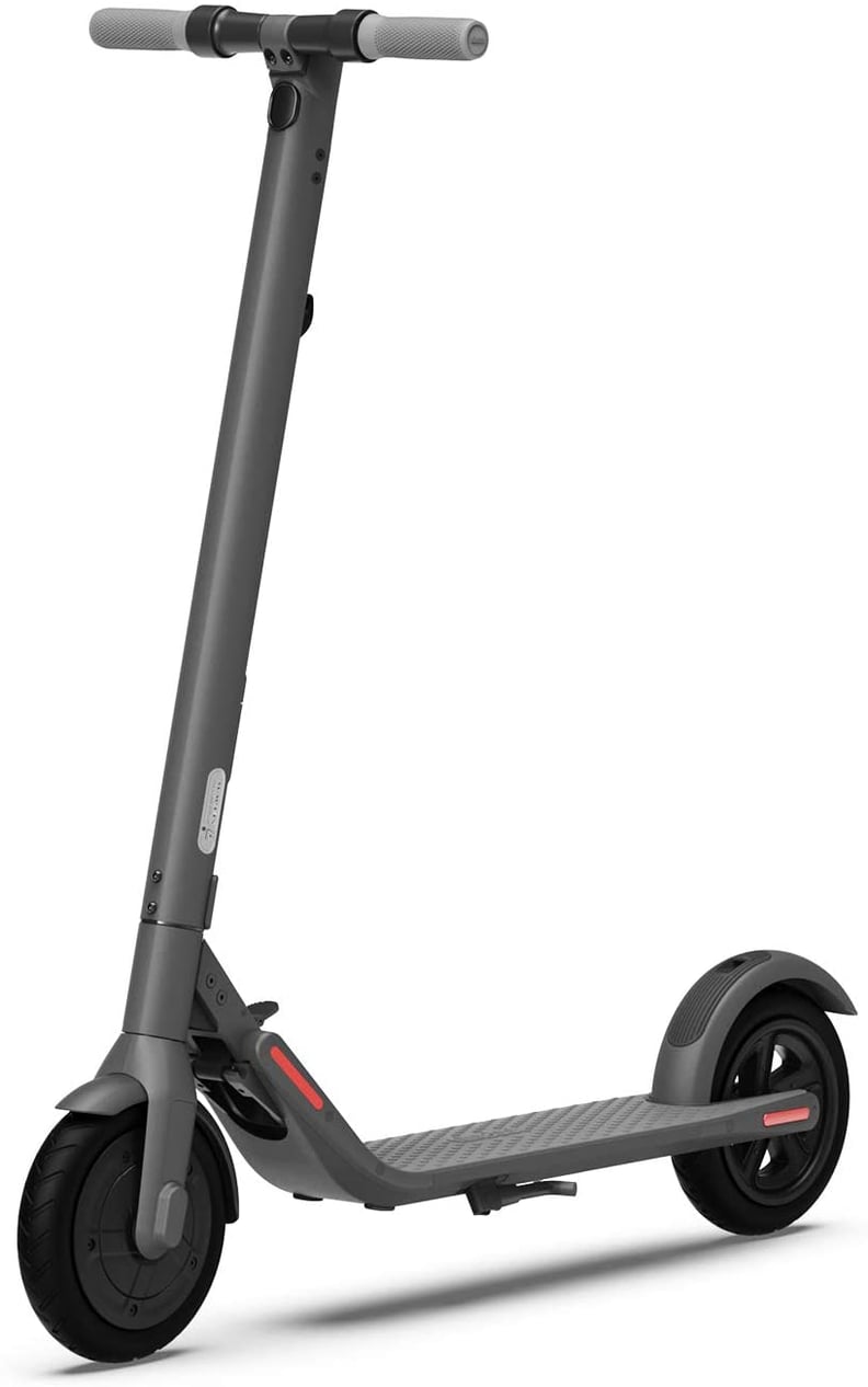 Segway Ninebot E22 Electric Kick Scooter