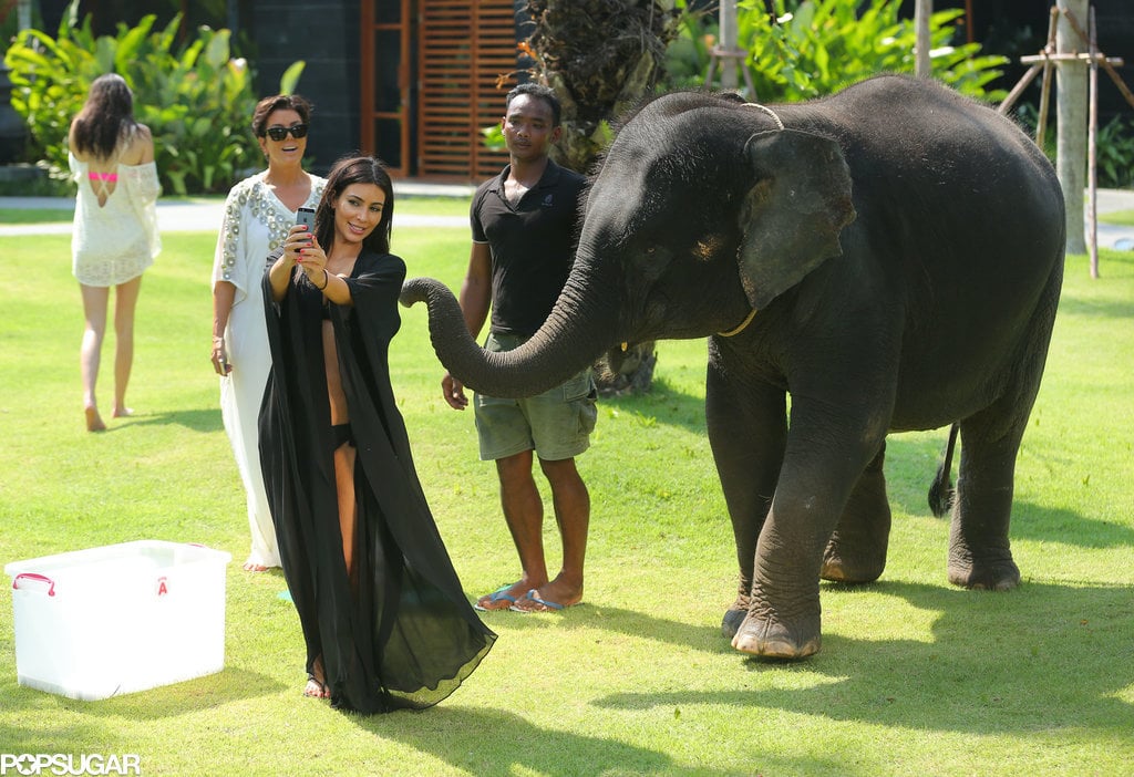 Kim Kardashian Taking Selfie With Elephant in Thailand