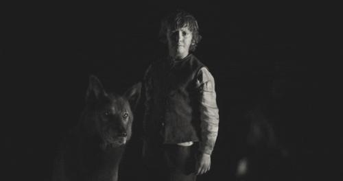 Shaggydog
