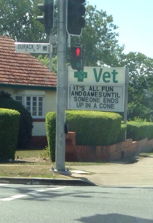 Saddest/best vet sign ever.
