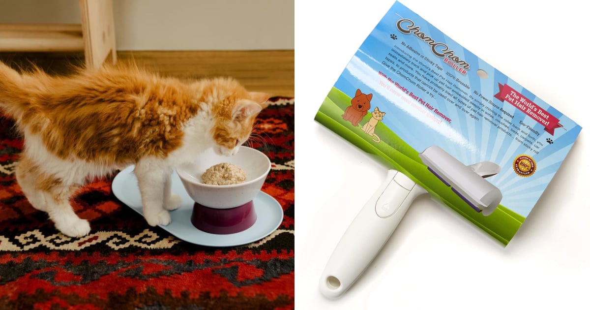 Best Products For New Cat Owners Popsugar Pets