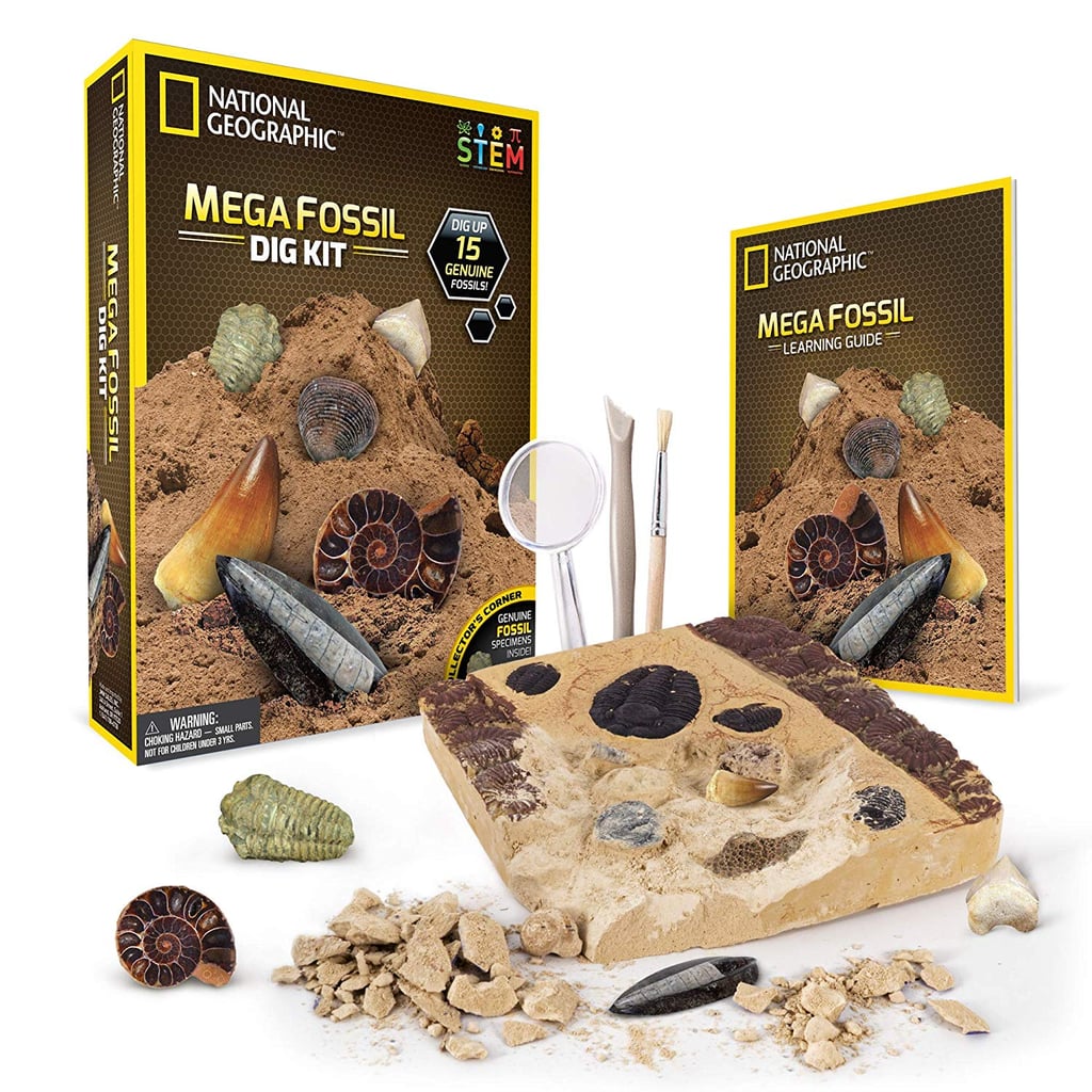 National Geographic Mega Fossil Dig Kit