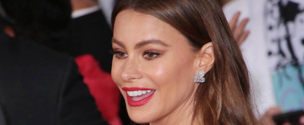 Sofia Vergara Effortlessly Claps Back After a Commenter Criticizes Her Appearance