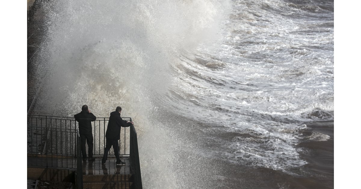Crash Into Me February's Best Pictures From Around the World