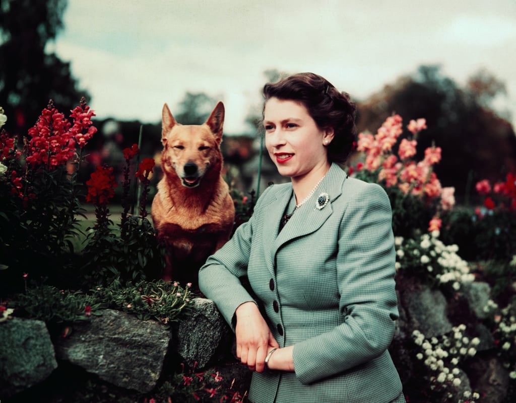 Why Did Queen Elizabeth Have So Many Corgis?