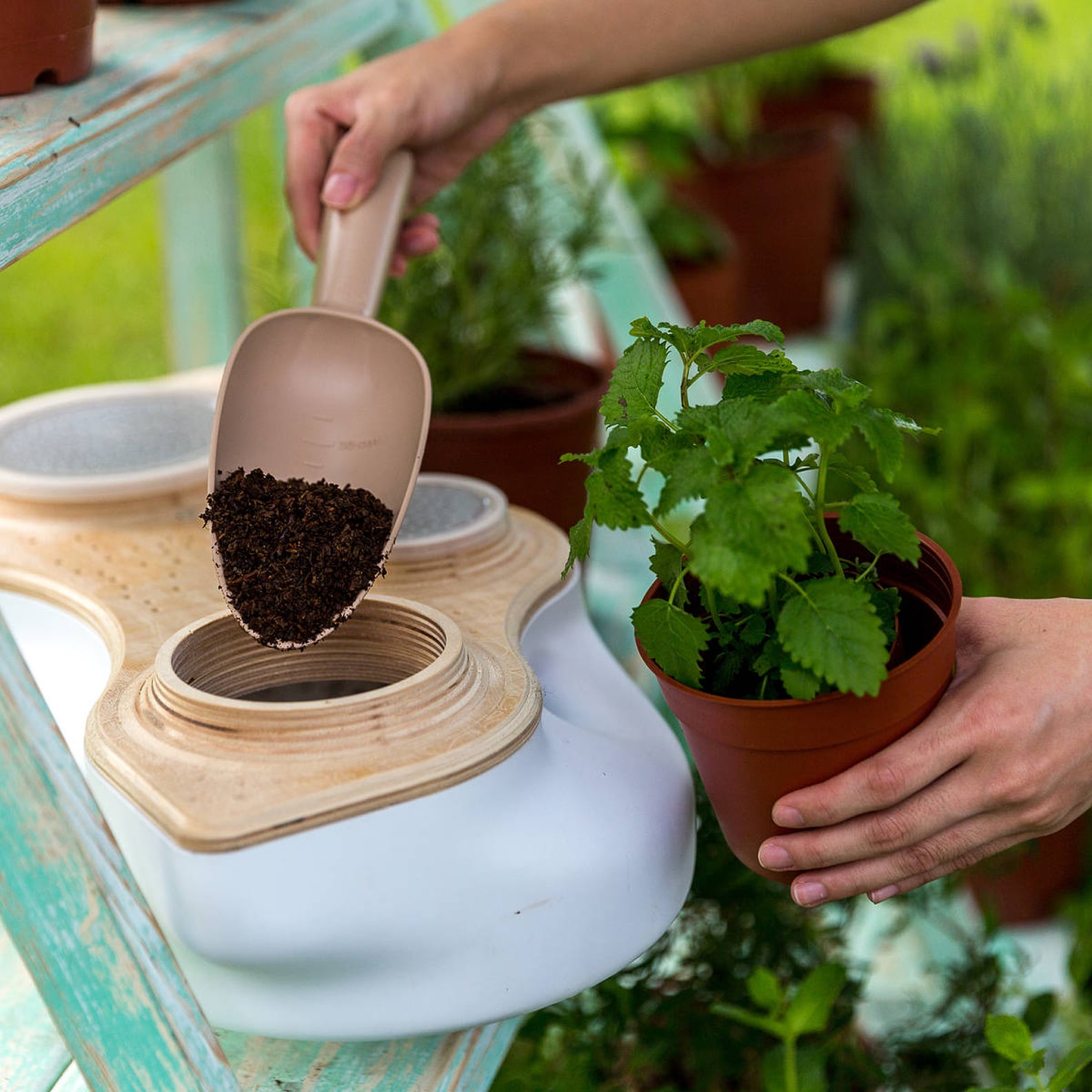 Best Composting Product For Apartments POPSUGAR Smart Living