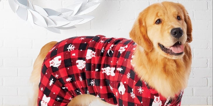 Cutest Dog Christmas Pajamas | POPSUGAR Family