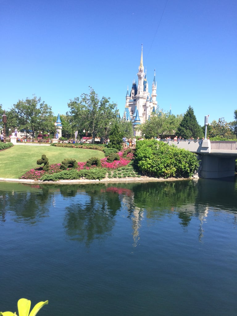 Don't Buy Water at a Disney Park