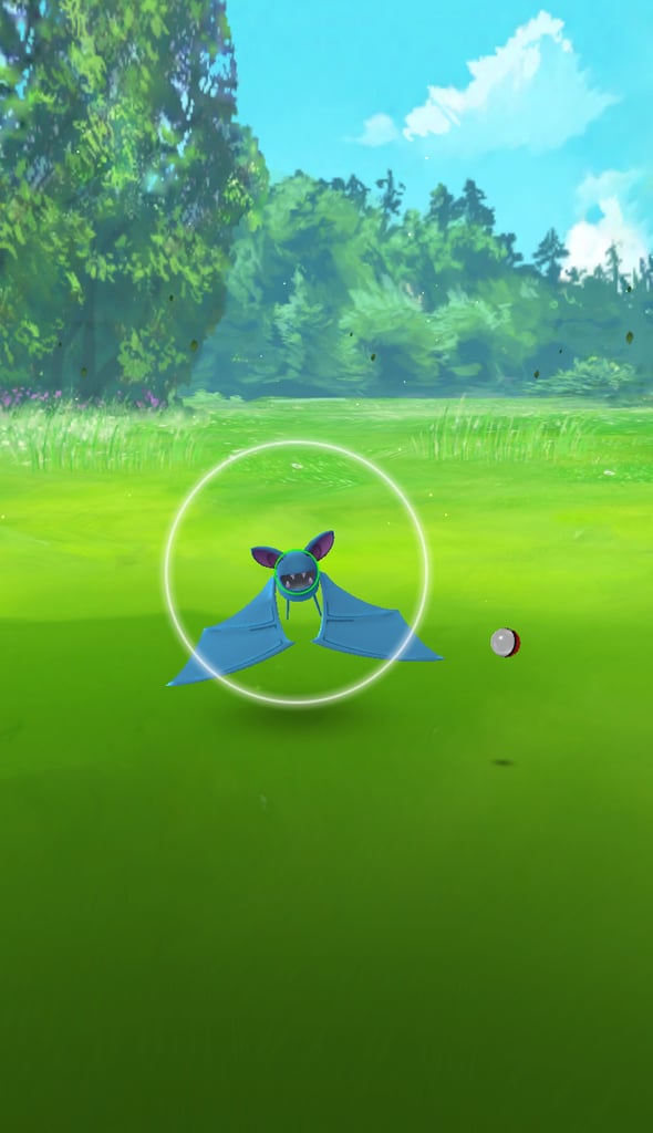 Find out what the different colored rings around the Pokémon mean. Pokemon Go Tips POPSUGAR