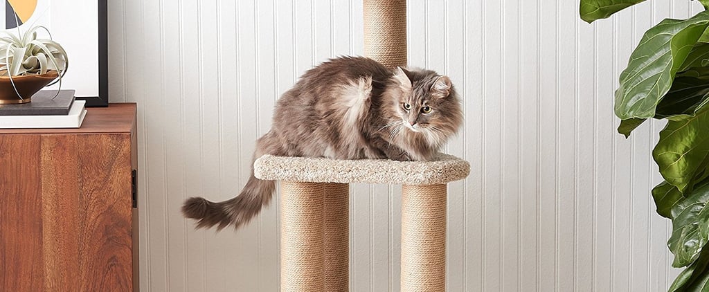 Top Cat Gifts on Amazon 2018