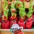 96 Holiday Products From Trader Joe's That Are Perfect For Gift Giving